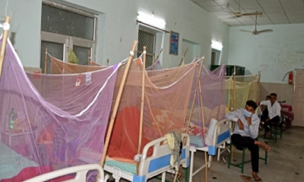 2,462 dengue cases reported in UP