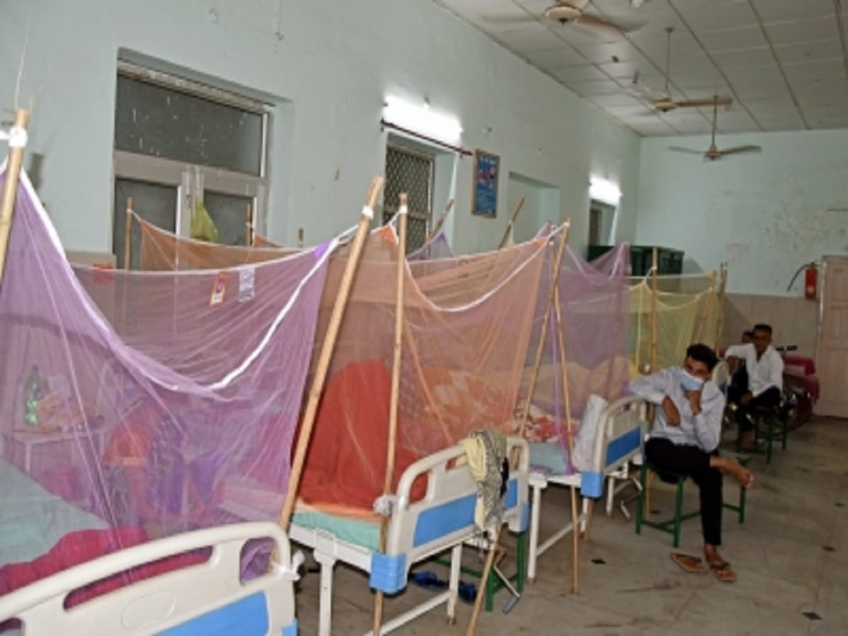 2,462 dengue cases reported in UP