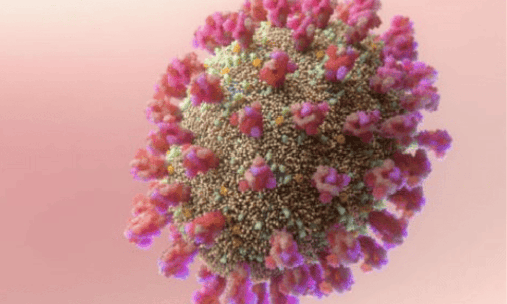Tunisia detects 1st case of new coronavirus variant EG.5