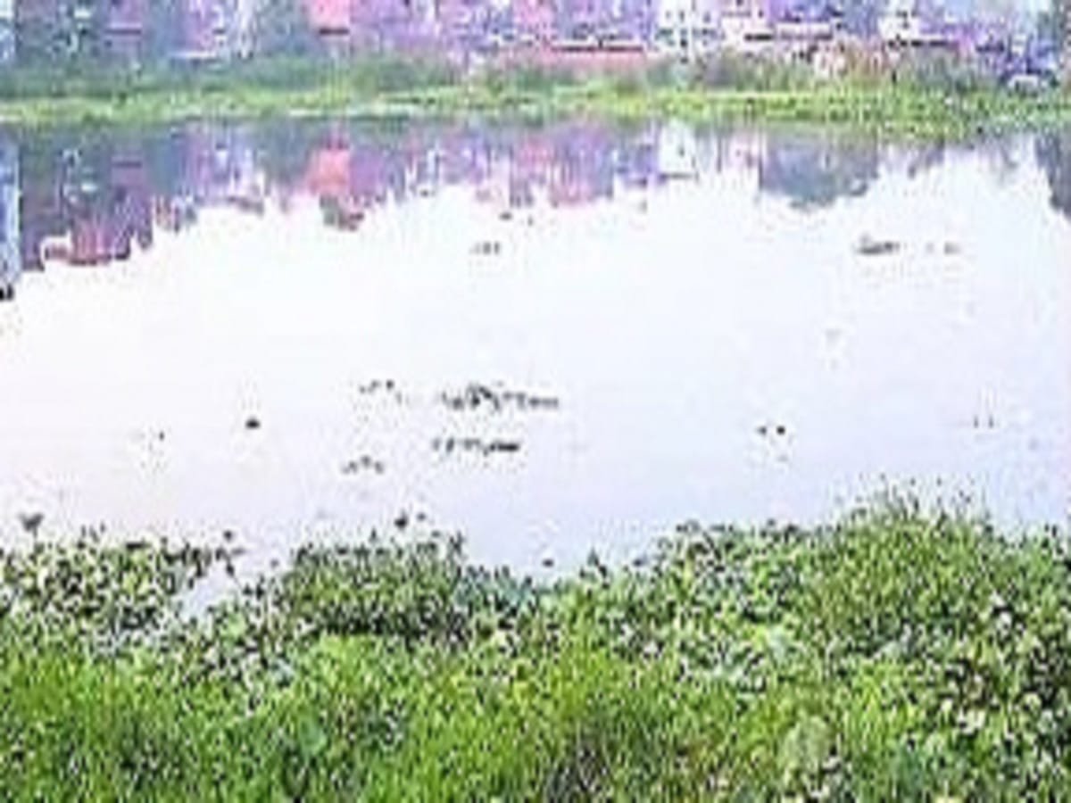 20 water bodies in Lucknow to be revived, beautified by Lake Man