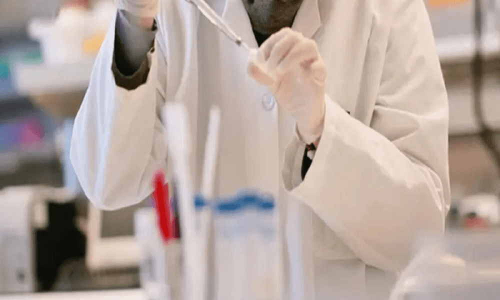 Israeli scientists create complete human-like embryo models from stem cells