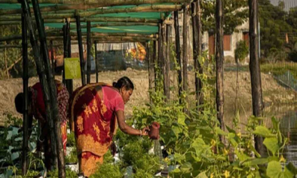 Locally-designed floating farm programme in Sundarbans wins $100,000 at GEF Assembly