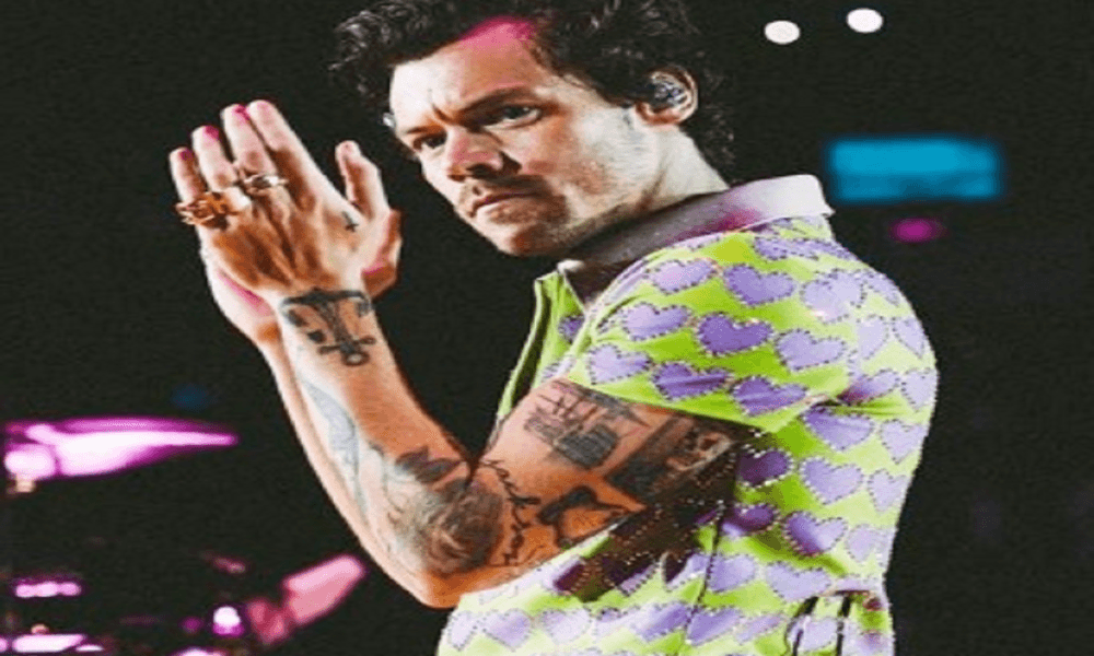 Harry Styles flaunts giant tattoos as he takes a dip in pond