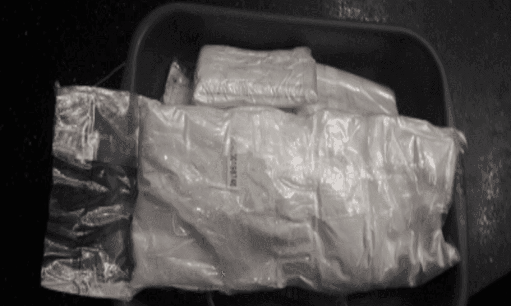 Drug smuggling probe finds ex-Lahore DSP owned illegal assets worth billions