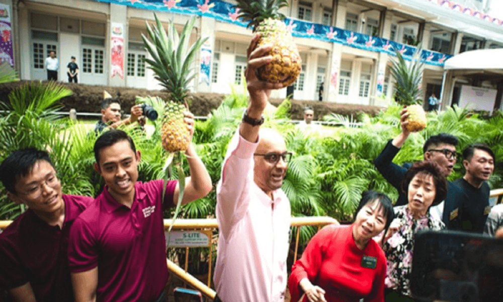Sales of pineapples soar in Singapore after Tharman’s poll victory