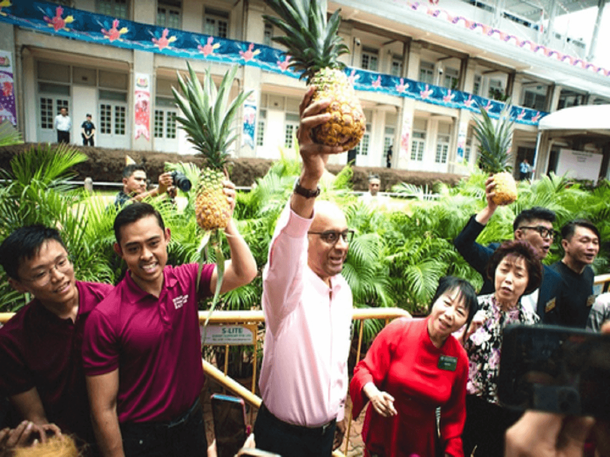 Sales of pineapples soar in Singapore after Tharman’s poll victory