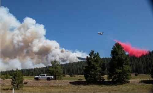 Unprecedented wildfires in California threaten wildlife habitats: Study