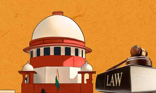 ‘Will stay advertising budget & attach it,’ SC reprimands Delhi govt