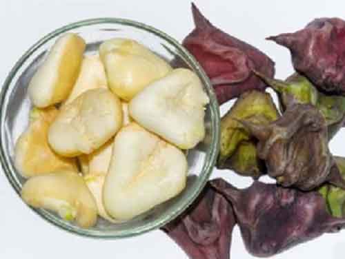 Water chestnuts from Varanasi set to hit Dubai markets