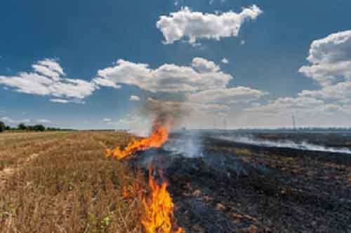 Farmers face action for stubble burning in Gorakhpur