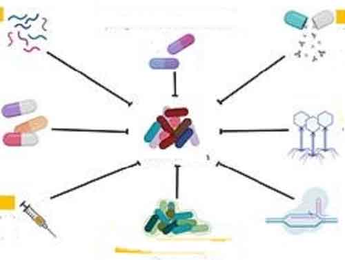 Investment in novel therapies key to tackle antimicrobial resistance: Report
