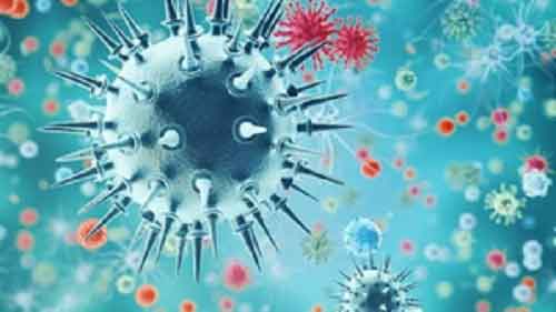 Monitoring outbreak of H9N2 cases in China, India prepared for any health exigency: Health Ministry