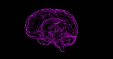 High biological age may up risk of dementia, stroke: Study
