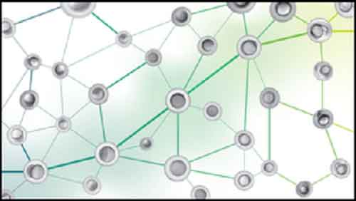 AI can better recognise tempo, stages of embryonic development