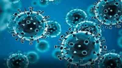 Children’s antibodies may help develop new therapies for Covid-19