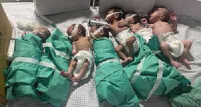 Egypt says ready to receive newborns from Gaza’s largest hospital