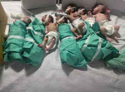 Another premature baby dies in Gaza’s Al-Shifa Hospital, total reaches 5