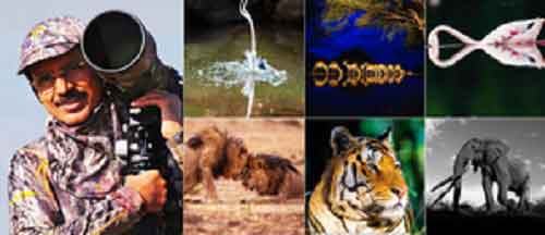 Thackeray to unveil first photo exhibit on top heart surgeon Dr Ramakanta Panda’s ‘wild-side’