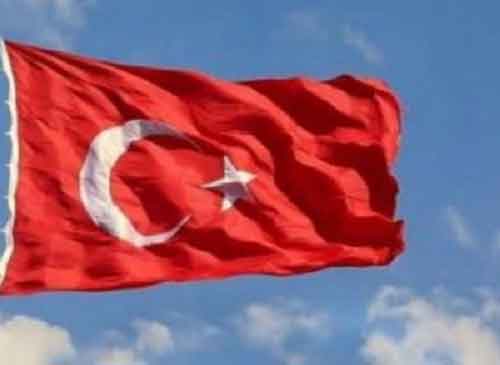 Turkish cargo vessel with 12-member crew sinks off Black Sea coast