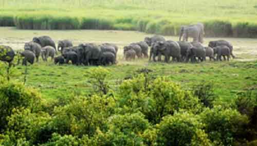UP to be showcased as ecotourism destination