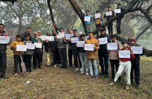 After SC directive for Mathura, green activists in Agra demand action to control Juli Flora’s spread