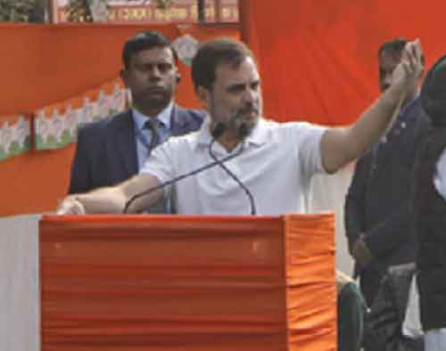 All BJP MPs ran away during Parliament security breach: Rahul Gandhi