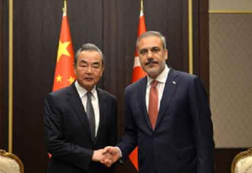 Turkiye, China should expand cooperation in tech and energy, says official