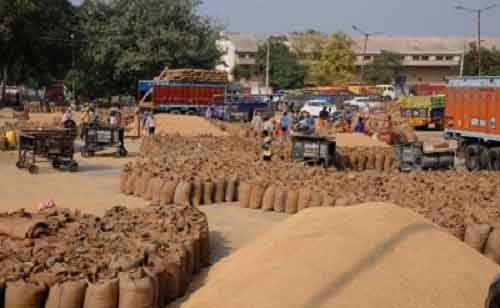 Yogi govt purchases 28.17 lakh tonnes paddy