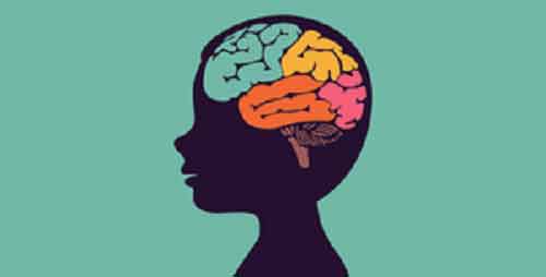 Children’s gut microbiome linked with brain development, function: Study