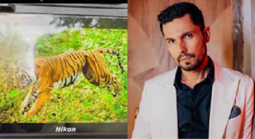Randeep Hooda shares pic of tigress with snare stuck to belly, seeks help of U’khand CM