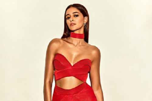 Ananya Panday’s favourite street food includes schezwan cheese dosa, paneer hungama