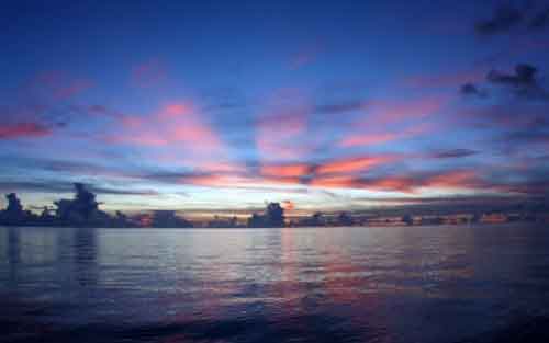 World’s oceans break record for highest temperatures 5 years in a row: Study