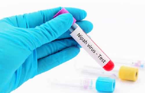 First human trial for deadly Nipah virus vaccine begins in UK