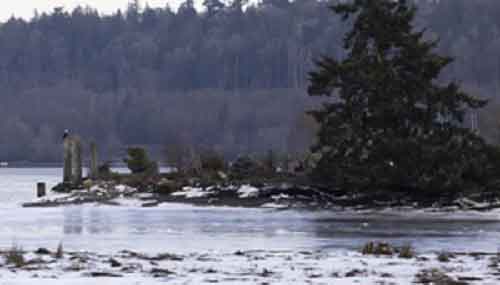 5 people die from hypothermia in Seattle