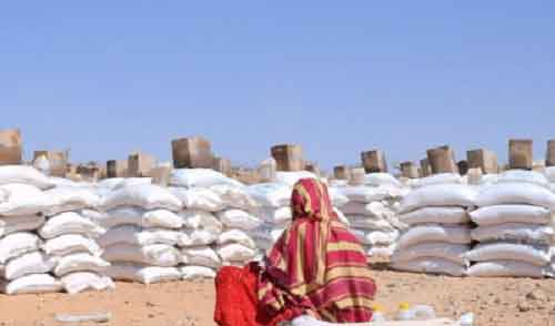 Over 3.45 mn people displaced in Ethiopia: UN report