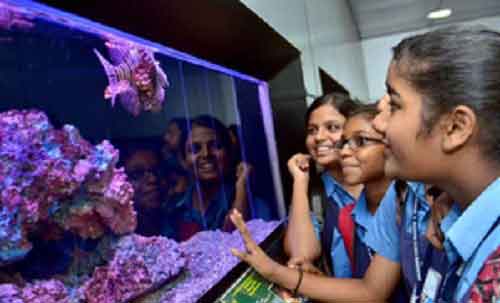 CMFRI showcases wonders of marine life on 77th Foundation Day