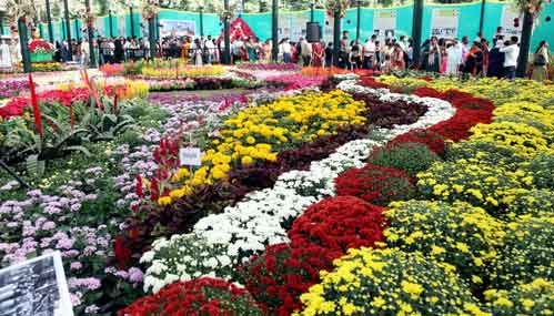 AMC announces Rs 20 crore investment in Lotus Park