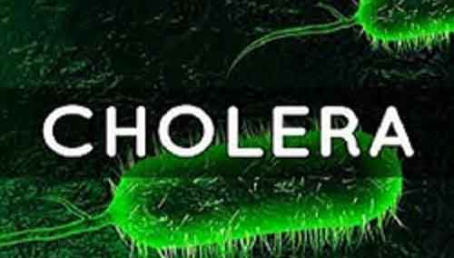 Zimbabwe sees drop in cholera cases