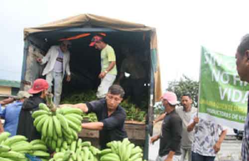 India exports bananas to Russia after Moscow stops purchase from Ecuador