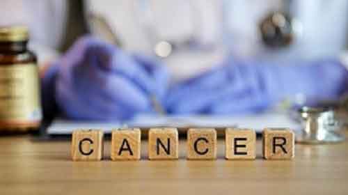 IISER Kolkata study finds vascular growth factor key for colon, renal cancer treatment