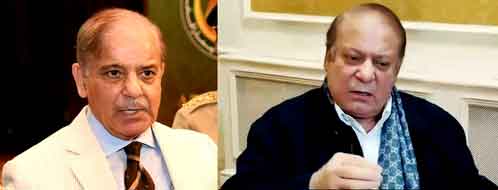 Sharif brothers secure win, PML(N) claims majority in National Assembly