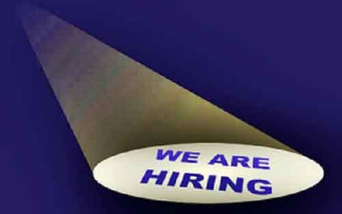 Freshers’ hiring intent up 6 per cent in India, E-com & tech startups lead