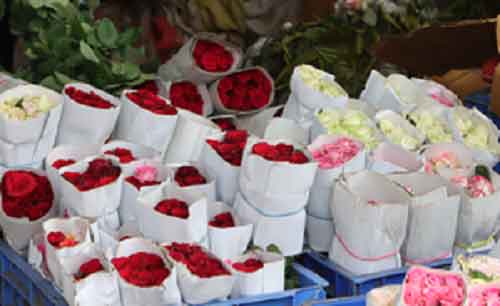 Nepal importing over 3 lakh roses from India for Valentine’s Day
