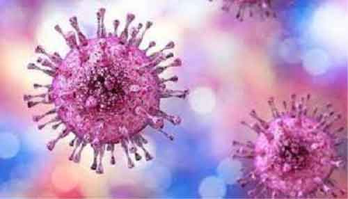 This symptomless herpes virus can harm newborns, organ transplant & HIV patients