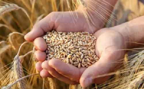 Govt significantly enhanced financial assistance for farm sector in last 10 years