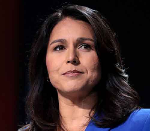 Tulsi Gabbard ‘open’ to talks on running as Trump’s mate, discusses foreign policy