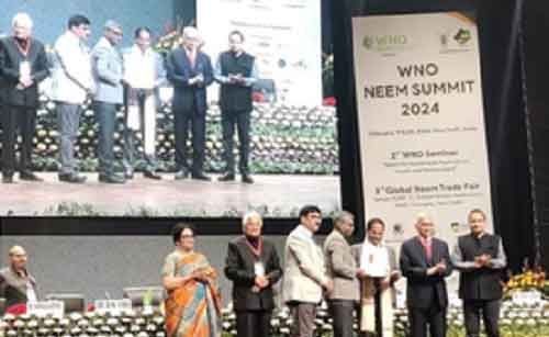 Agro experts see Neem as a forestry plantation option for India