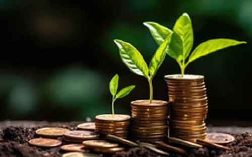 India dedicated funds see 49th straight week of inflows