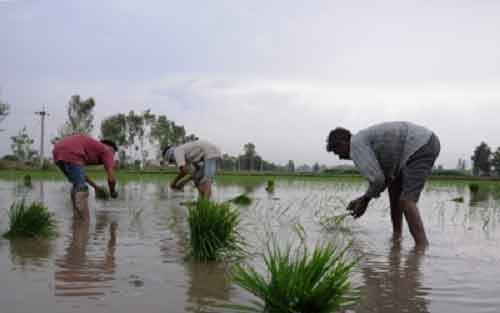 ‘Farmers first’ policy is Modi govt’s resolve to boost their income: A look at key initiatives