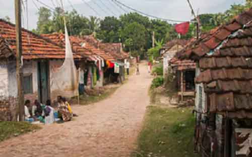 Rural livelihoods have seen an improvement implying success of govt policy